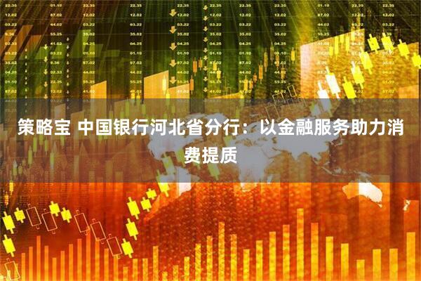策略宝 中国银行河北省分行：以金融服务助力消费提质