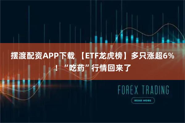 摆渡配资APP下载 【ETF龙虎榜】多只涨超6%！“吃药”行情回来了